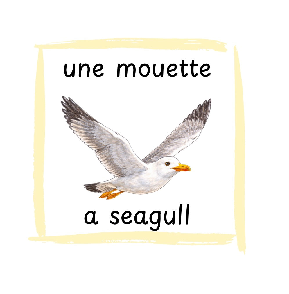 The Coloriettes Pack – New Beginnings