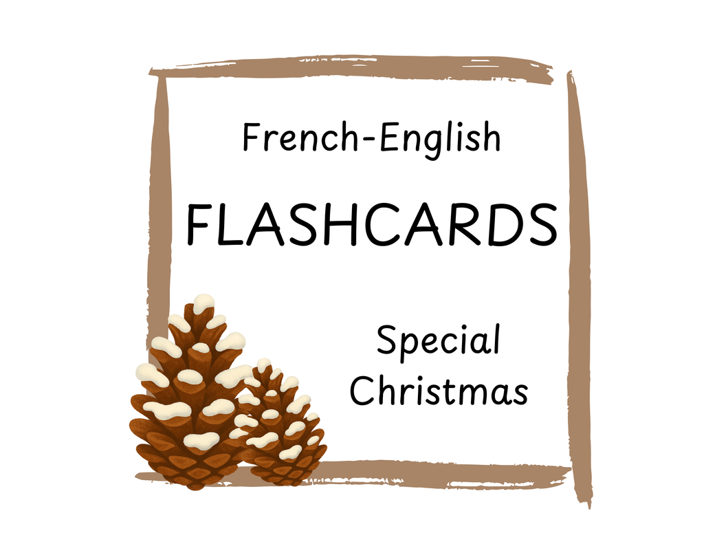 Special Christmas | Bilingual Flashcards | French-English